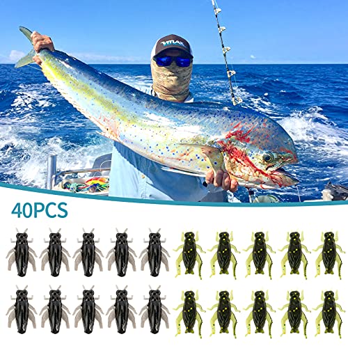 Ownsig 40 Pcs 2 Colors Black Cricket Shape Fishing Soft Lures Super Simulate Insect Artificial Bait - Image 4