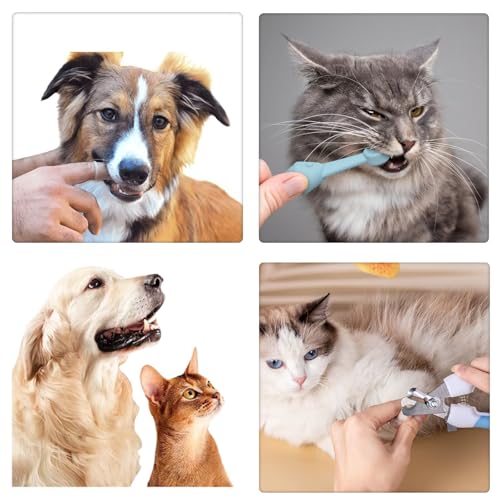 Image of 360º Dog Toothbrush Set, Cat Toothbrush, Dog Dental Cleaning, Dog Finger Toothbrush, Large and Small Pet Dog Toothbrush, Dog Toothpaste Not Included, 8-Piece Pet Nail Trimmer and Nail File Set