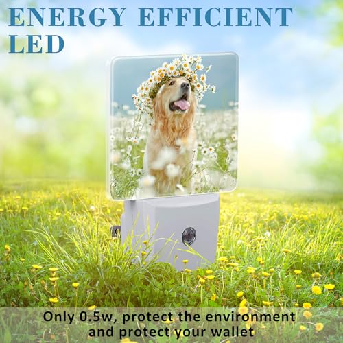 Image of Plug in Night Lights Golden Retriever with Daisy Wreath Night Light with Dusk to Dawn Sensor Night Light for Kid Girls Boys Women Men Room Decor, Hallway, Kitchen, Bathroom, Nursery, Stairs