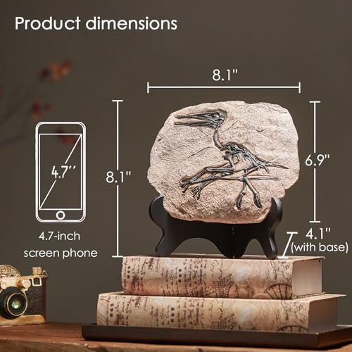 Image of 1st Heaven Resin Dinosaur Fossil Sculpture - Realistic Dinosaur Skeleton for Desk & Wall Display, Prehistoric Jurassic-Era Dino Decor, Unique Gift for Dino Lovers & Home Decor (Pterosaur)
