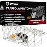 Wemk