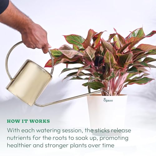 Image of UGAOO Plant Food & Bloom Fertilizer Sticks Combo for Indoor & Outdoor Plants | Slow Release Plant Nutrition & Flower Booster | Fertilizer Sticks for Potted Plants | Pack of 40 (20+20)