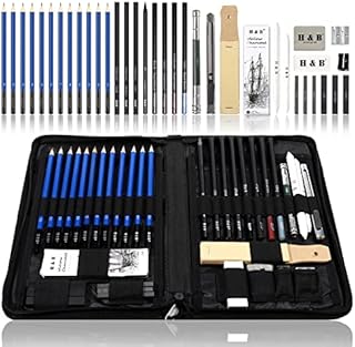 H & B Sketching Pencils Drawing Set,40pcs Art Supplies Artist Sketching Kit with Sketch Draw Pencils Charcoal Pencil Extender Canvas Pencil Bag and More for Artist Beginners Kids Adults