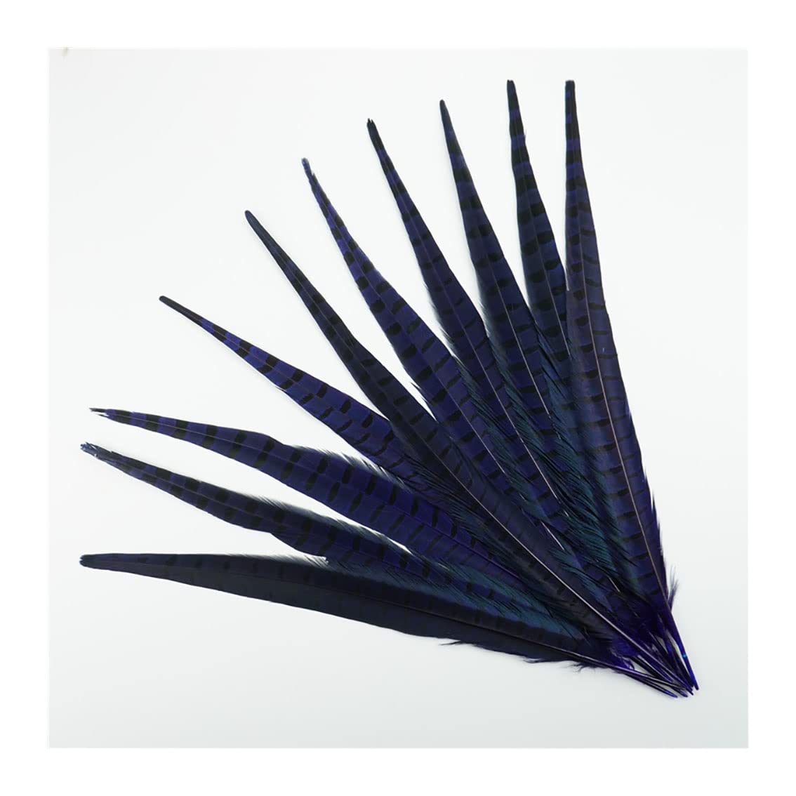Plumas de faisán naturales de 40cm para diseñar tocados sin perder volumen ni flexibilidad