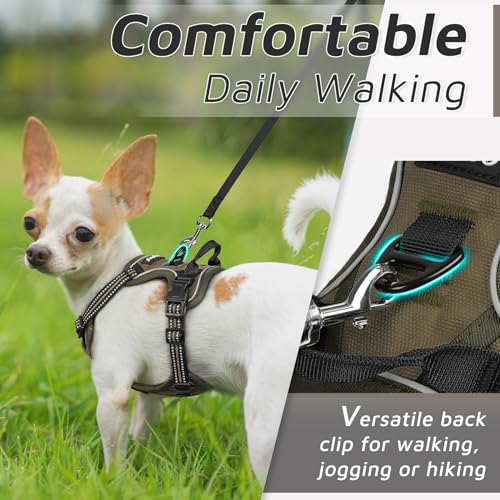Image of Eagloo Dog Harness for Small Dogs, No Pull Pet Vest with 2 Leash Clips