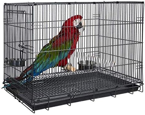 Large Durable Metal Travel or Veterinary Easy Collapsable Parrot Bird Carrier Beaks Proof Carrier Cage Easy Clean Pull Out Tray Stainless Steel Feeder Bowls Natural Wooden Perch