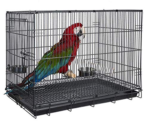 Large 24"x16.5"x20.5"H Durable Metal Travel or Veterinary Easy Collapsable Parrot Bird Carrier Beaks Proof Carrier Cage Easy Clean Pull Out Tray Stainless Steel Feeder Bowls Natural Wooden Perch