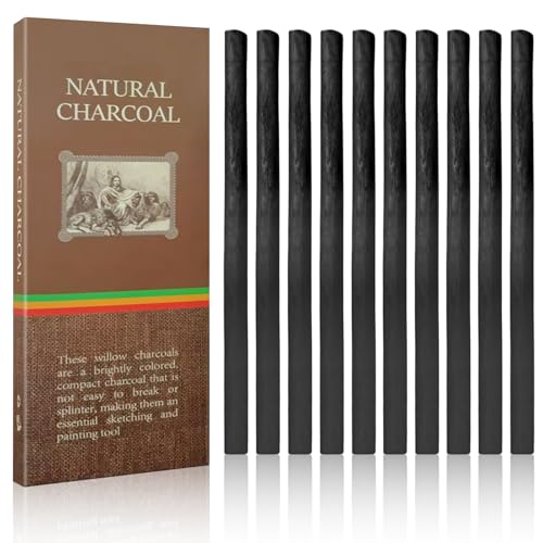 YHTCC 10PCS Charcoal Sticks, 3-5mm Black Willow Charcoal, Drawing Tools Charcoal Pencils for Artists Students and Hobbyists