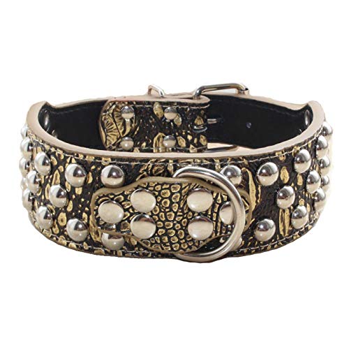 Collier chien cuir rivets cloutés large anti traction pour molosse s