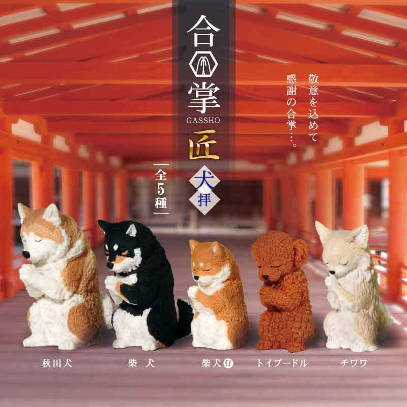 Amazon.co.jp: フィギュア 合掌 匠 犬拝 BOX 1個入 : ドラッグストア