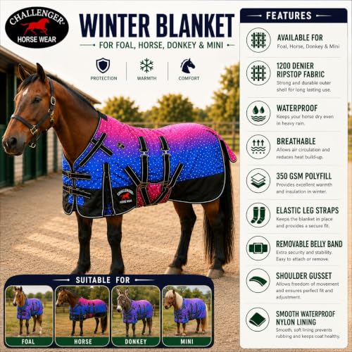 Image of CHALLENGER 1200D Foal Winter Blanket Miniature Pony Donkey Bellyband Turquoise Rustic