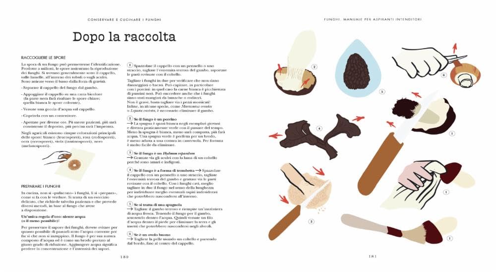 Funghi. Manuale per aspiranti intenditori