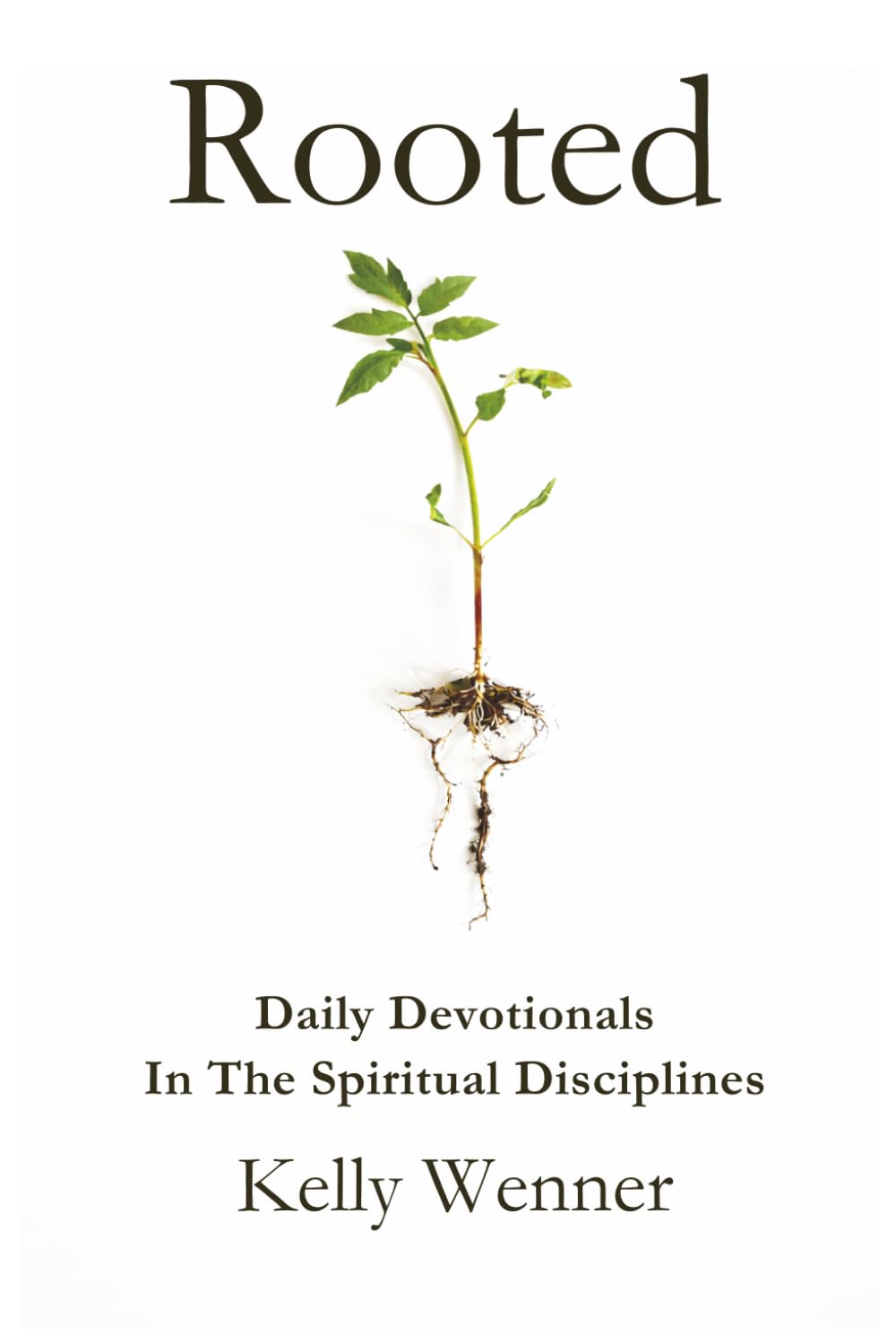 Rooted: Spiritual Disciplines for Becoming More Like Christ (SoulStrength Fit Daily Devotionals & Leader Guides)