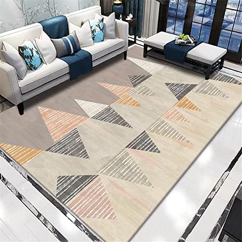 Tapis de sol lavable grand format 160X230 pour chambre salon