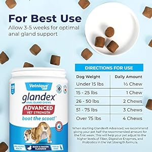 Glandex Anal Gland Soft Chew Treats with Pumpkin for Dogs Digestive Enzymes Probiotics Fiber Supplement for Dogs Boot the Scoot advanced Strength Duckbacon Chews vegetarian 120ct  Cucciolini Doodles Glandex anal gland soft chew treats with pumpkin for dogs digestive enzymes probiotics fiber supplement for dogs boot the scoot advanced strength duckbacon chews vegetarian 120ct   cucciolini doodles