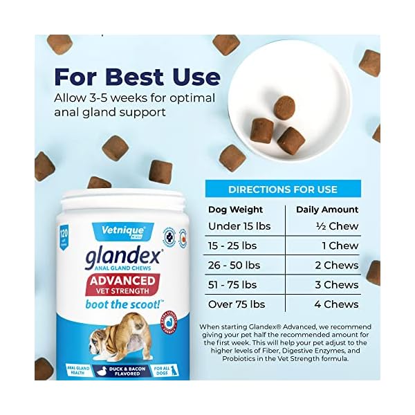 Vetnique Labs Glandex Advanced Strength Anal Gland Soft Chews with Mega Fiber for Dogs, Digestive Enzymes, Probiotics – Vet Recommended to Boot The Scoot Vegetarian Duck & Bacon (120ct) Vetnique Labs Glandex Advanced Strength Anal Gland Soft Chews with Mega Fiber for Dogs, Digestive Enzymes, Probiotics – Vet Recommended to Boot The Scoot Vegetarian Duck & Bacon (120ct)