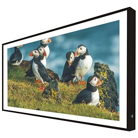 Picture with Black Lacquered Wood Frame Illuminated with Light Animal Leds in Iceland Cover