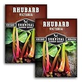 Victoria Rhubarb Seeds for Planting - Grow Cold-Tolerant Perennial Spring Vegetables/Fruit in Your Home Garden - Non-GMO Heirloom Variety - Survival Garden Seeds (2 Packs)
