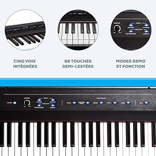 Alesis Recital – Piano Numérique/Clavier de 88 Touches Semi-Lestées de Taille Authentique & M-Audio SP-2 – Pédale de… - Les Beatles, Paul McCartney, John Lennon, RIngo Starr, George Harrison Alesis Recital - Piano Numérique/Clavier de 88 Touches Semi-Lestées de Taille Authentique & M-Audio SP-2 - Pédale de… – Image 5