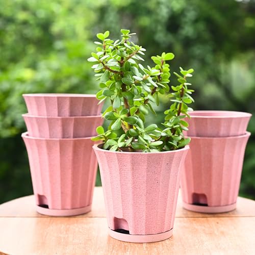 Image of Eha Earth Friendly Ace 5 inch Small Self Watering Pots for Indoor Plants | Set of 6 | Plant Pot Made with Bamboo Fibers | Table Top Planters for Home Decor, Flower Pot for Living Room | Innocent