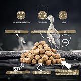 George & Bobs Ente & Lachs Adult | 15 kg | Getreidefrei | 70% Fleischanteil | Superfoods | Trockenfutter | Grünlippmuschel | für ausgewachsene Hunde