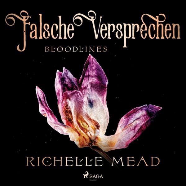 Cover art for Falsche Versprechen