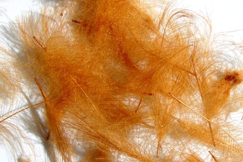Hareline Fly Tying Cul de Canard (CDC) - Natural CDC Feathers for Fly Tying Dry Flies, Emergers & Comparaduns