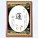 命名書 名入れ無料 A4額入り令和8年 2026年生まれ 蓮の花 干支 午 馬 出産祝い 男の子