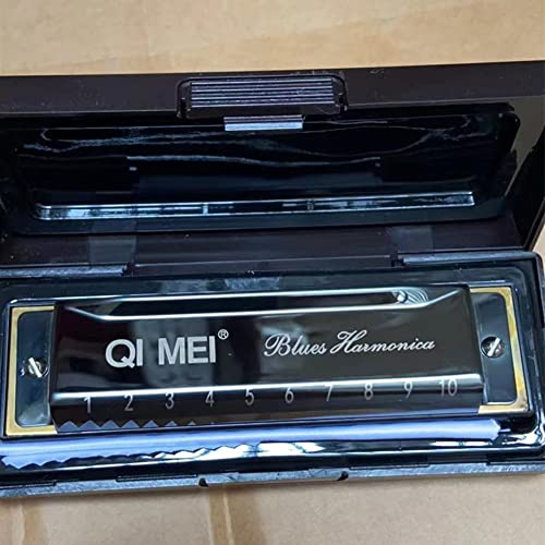 Harmonica Blues (10 trous, clé de C) pour débutants, adultes, enfants - Les Beatles, Paul McCartney, John Lennon, RIngo Starr, George Harrison Harmonica Blues (10 trous, clé de C) pour débutants, adultes, enfants – Image 4