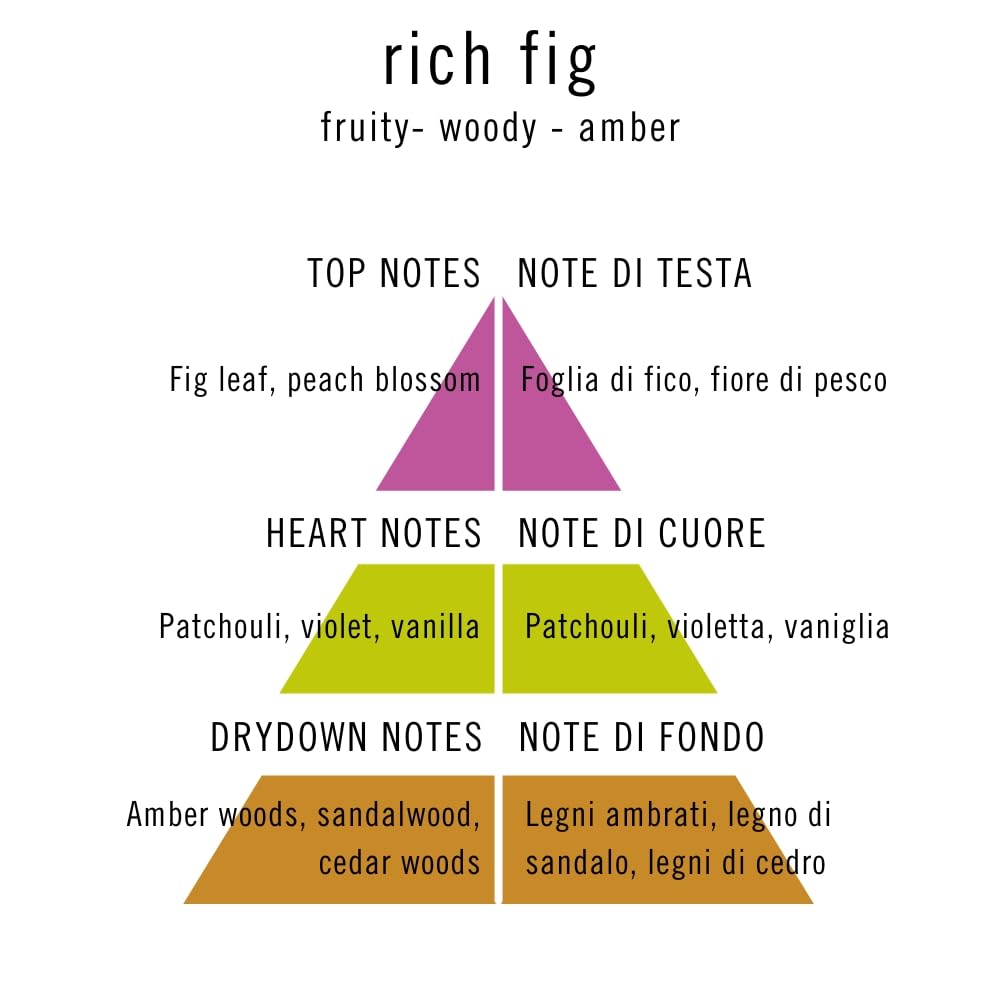John Richmond Unknown Pleasure Rich Fig Eau de Parfum Unisex 100 ml - fruchtig, holzig und bernsteinfarben - mit Noten von Feige, Vanille, Patchouli und wertvollen Hölzern