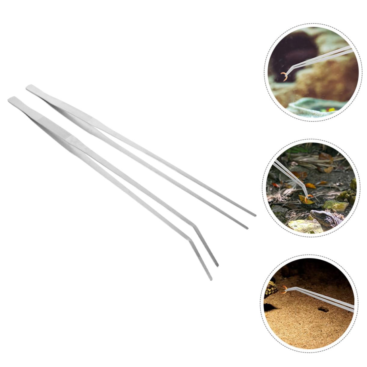 Yardwe 10piezas Pinzas De Alimentación para Reptiles De Metal Pinzas Largas para Acuarios y Terrarios Diseño Antideslizante y Cabezas y