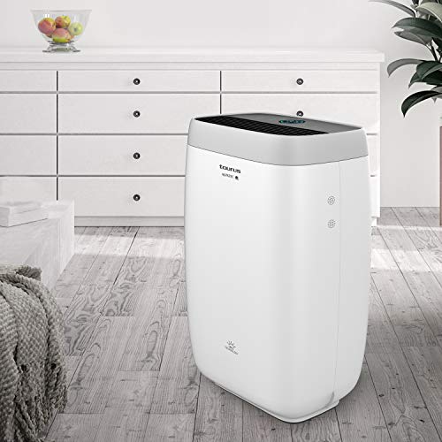 TAURUS AP2050 - vue 4