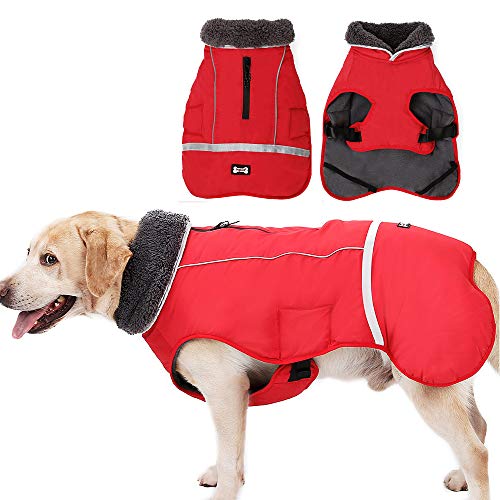 El Mejor Listado de Chaquetas y abrigos para comprar online. 47 XUANNIAO Abrigos para Perros para Clima frío, Chaquetas de Invierno cálidas para Perros, Chaleco Reflectante Estilo Retro Impermeable y Resistente al Viento para Perros (Rojo,...