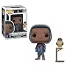 Funko POP! Games: Destiny Hawthorne with Hawk Collectible Figure, Multicolor