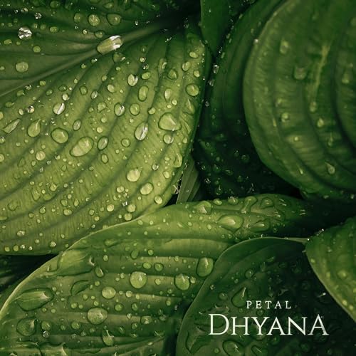Dhyana