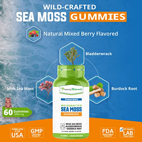 Power By Naturals Organic Sea Moss Capsules Plus Irish Sea Moss Gummies For Adults - Wildcrafted Seamoss Bladderwrack Burdock Root Superfood For Thyroid, Gut Health Support & Immunity Booster #TOP4