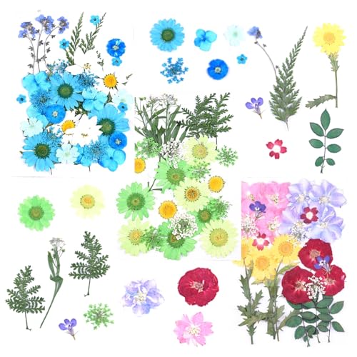 Flores secas prensadas para resina, kit natural 82 piezas miniatura 1