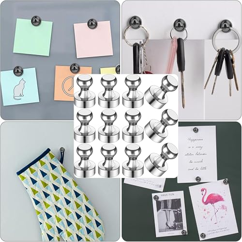 Image of Mini Fridge Neodymium Magnets with a Storage Box Cone Handle for Kitchen Magnetic Board Whiteboard Noticeboard and Office Craft (12)