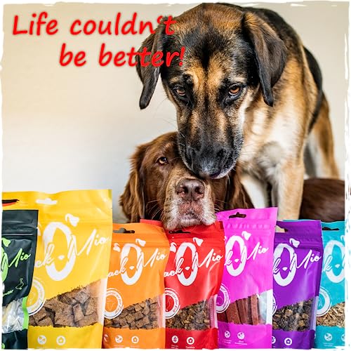 SnackOMio - Premium Kausnack für Hunde - Feine geschnittene Entenbrust, 70g, (1 x 0,07kg)