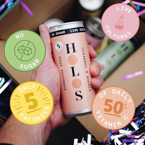 HOLOS Kombucha Soda - Ginger and Turmeric Sparkling Kombucha Drink - Vegan Sugar Free Drinks - Ginger Kombucha Gluten Free Live Culture Drink - 12 x 250ml Kombucha Cans