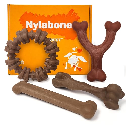 Nylabone-Strong-Chew-Dog-Toy-4-Pack-Made-with-Real-Bacon-Bison-Venison-Beef-Chicken-Durable-Chew-Toys-for-Aggressive-Chewers-Long-Lasting-Dog-Bone-Large-Breeds-Up-to-50-lbs-4-Count Nylabone Strong Chew Dog Toy 4-Pack Made with Real Bacon, Bison, Venison, Beef, & Chicken, Durable Chew Toys for Aggressive Chewers, Long Lasting Dog Bone, Large Breeds - Up to 50 lbs, 4 Count - Image 1