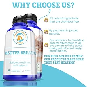 Bad-Breath-for-Cats-Pellets-Dissolvable-No-Brushing-for-Clean-Teeth-Plaque-Tartar-Control-All-Natural-Non-GMO-Organic-Preservative-Chemical-Free-300-ct - Cucciolini Doodles   Bad-Breath-for-Cats-Pellets-Dissolvable-No-Brushing-for-Clean-Teeth-Plaque-Tartar-Control-All-Natural-Non-GMO-Organic-Preservative-Chemical-Free-300-ct