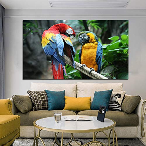 Toile Deux Perroquets 50x100cm art mural oiseau sans cadre pour décoration salon