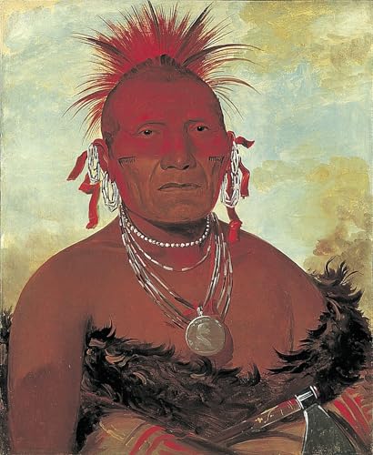 Art mural Horse Chief peinture poster pour habiller un grand mur vide de salon moderne 60x90