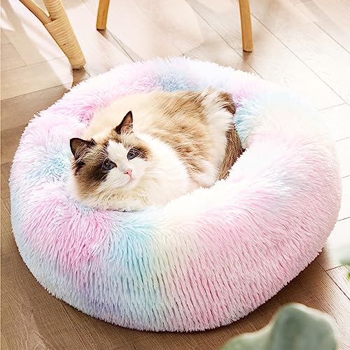 Image of Bedsure Calming Cat Beds Donut Round Washable Kitten Bed,20 inches Multi Color