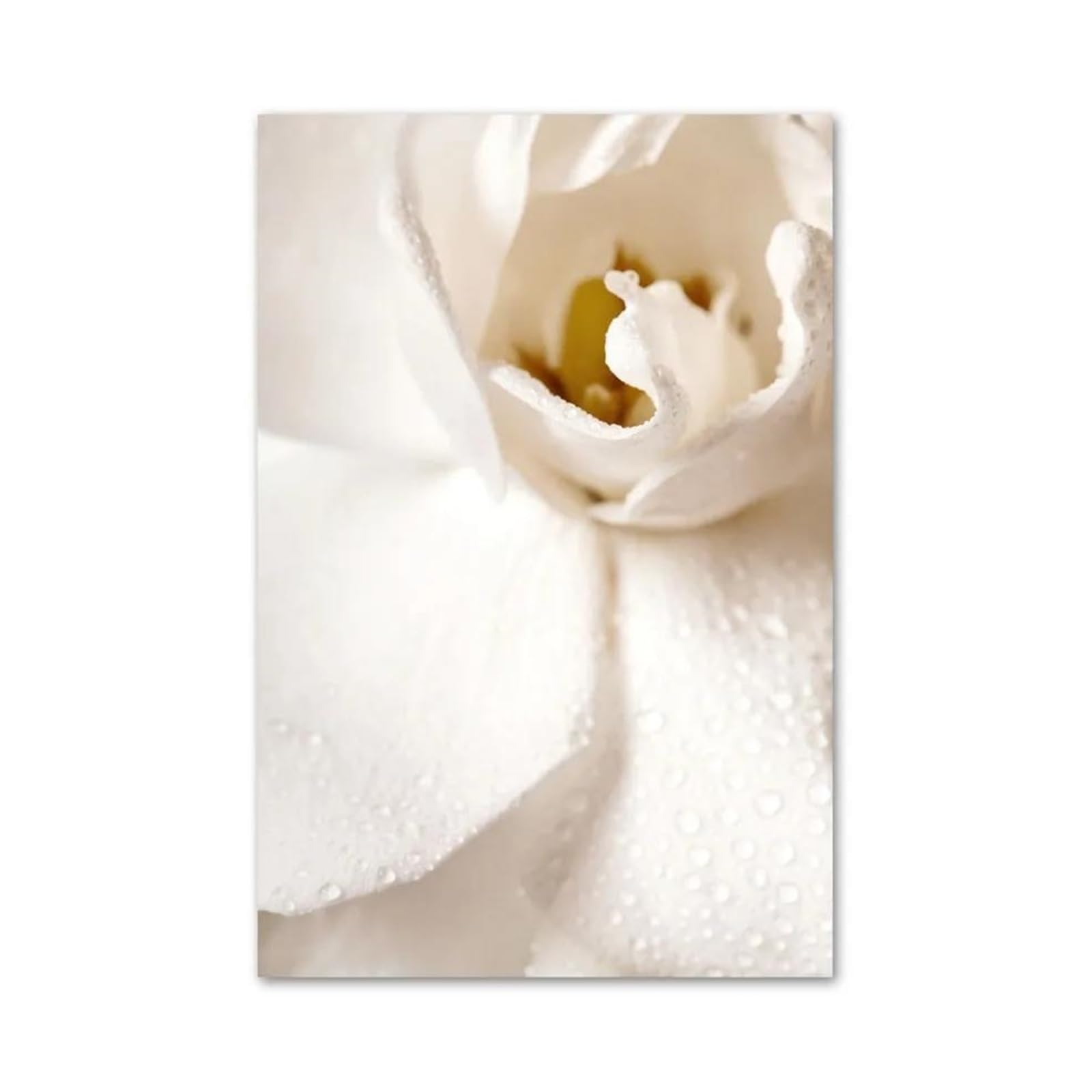 Byambd D Byamb Aesthetic Pictures Beige Beach Starfish White Peony Line Woman Wall Art Aesthetics Print Canvas Painting Posters For Living Room Modern Home Ecor(,30X40cm)
