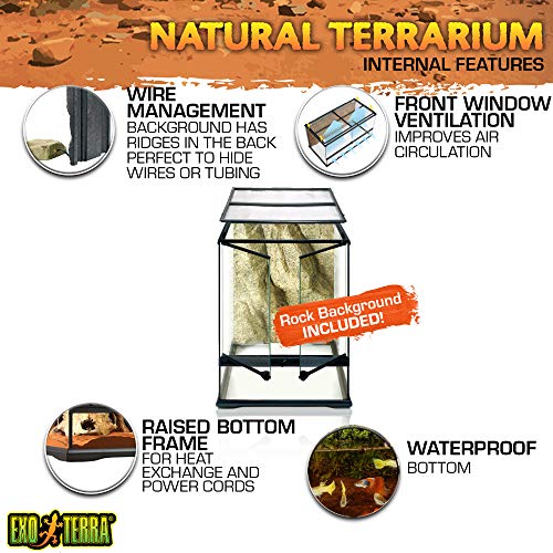 Paludarium Exo Terra Rainforest Habitat Kit für Terrarien