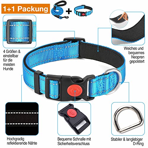 haapaw reflektierendes Hundehalsband gepolstert mit weichem Neopren atmungsaktiv einstellbar Nylon Hundehalsbänder für kleine mittlere große Hunde