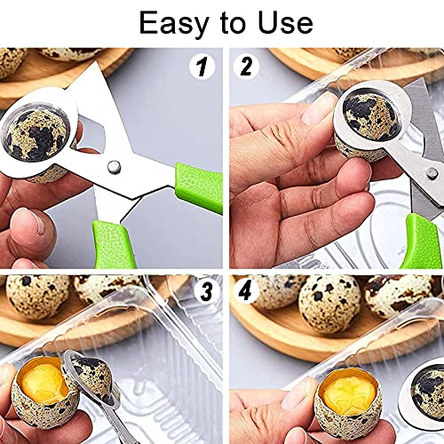 Miniatura 2 de Izhuoke Tijeras De Acero Inoxidable Para Abrir Y Cortar Cáscara De Huevos De Codorniz Y Otros