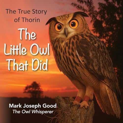 The Little Owl That Did